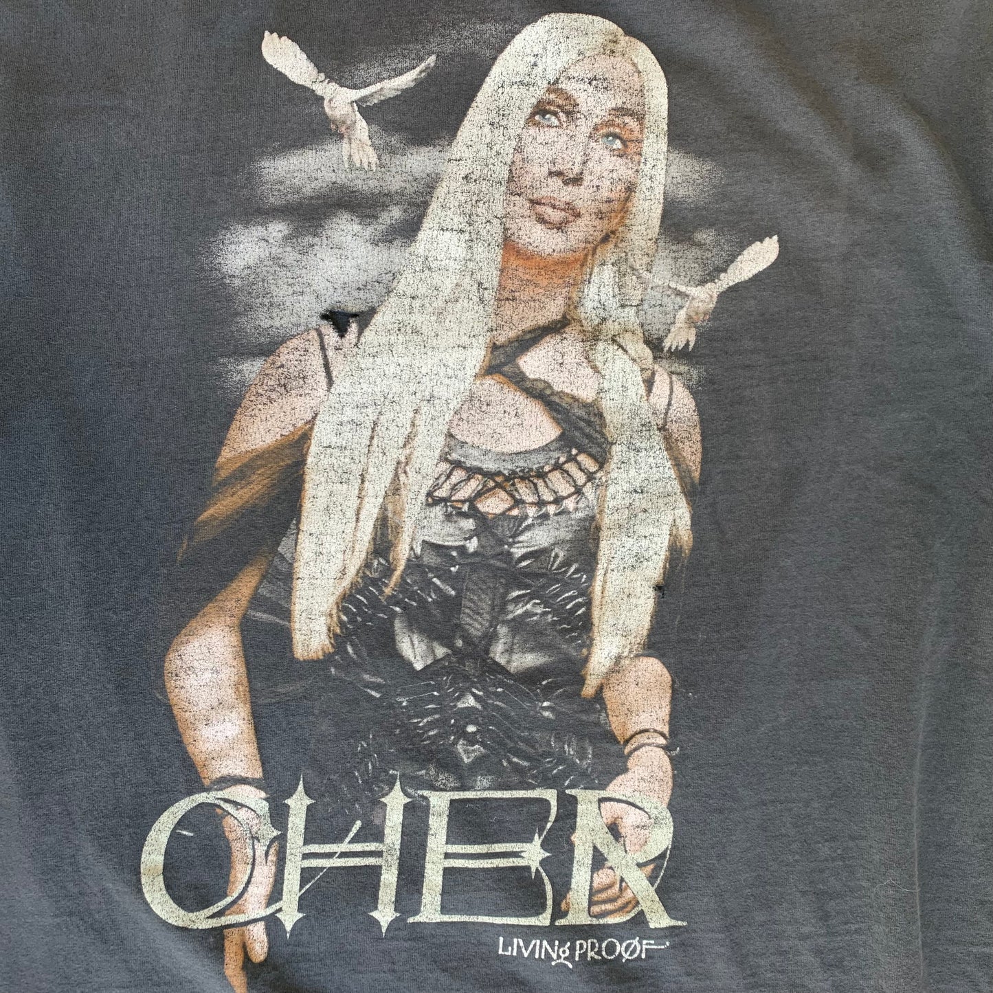 2002 Cher Living Proof XL Tour Tee