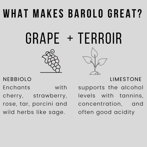 What Makes Barolo So Great - Nebbiolo and Limestone