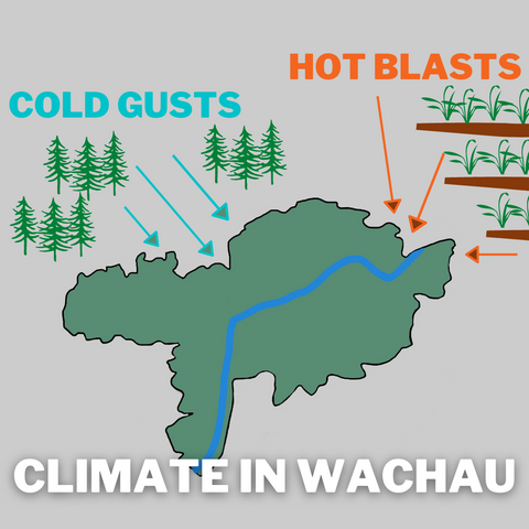 Climate in the Wachau WInd Graphic