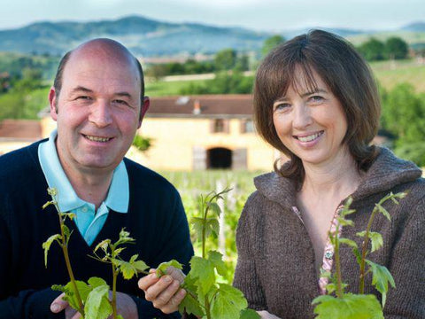 Pierre Marie Chermette Beaujolais 