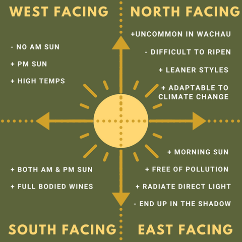 Sun Direction Aspect Wachau Vineyards