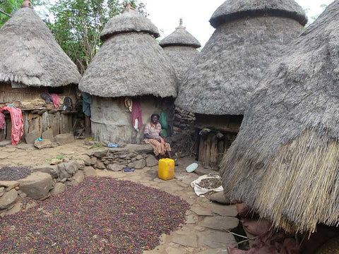 Coffee Drying, Ethiopia