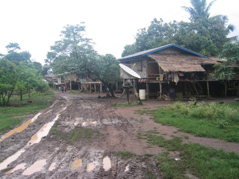 Siedlung auf dem Bolaven Plateau