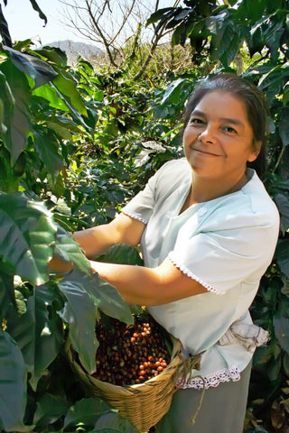 Eine Kaffeebäuerin in Nicaragua