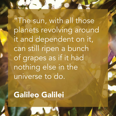 Galileo Quotes