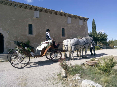 Provence calèche tradition