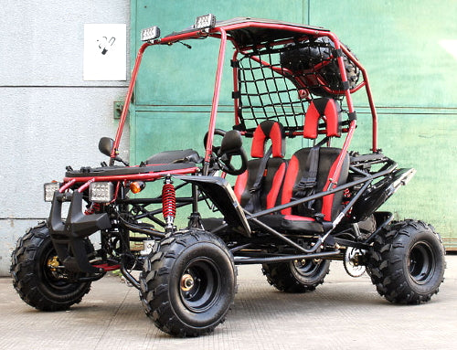 2 seater off road go kart