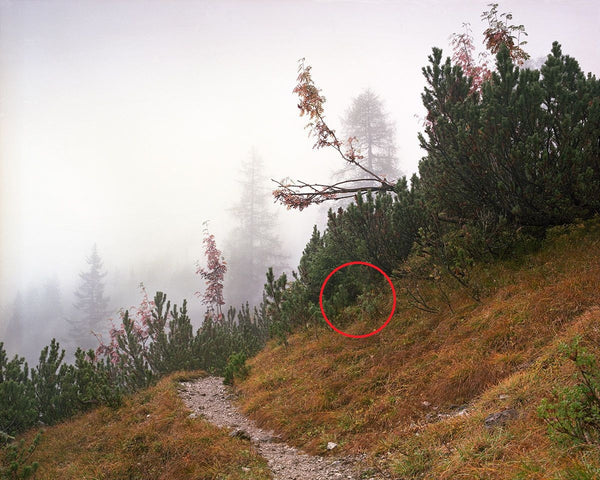 Can You Spot the Sniper in These Pictures?