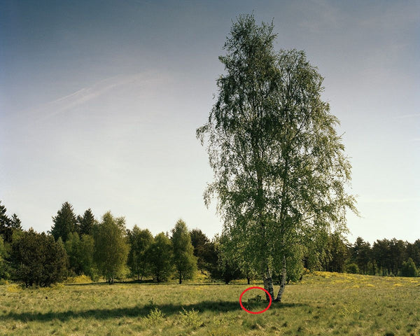 Can You Spot the Sniper in These Pictures?