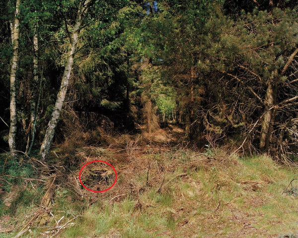 Can You Spot the Sniper in These Pictures?
