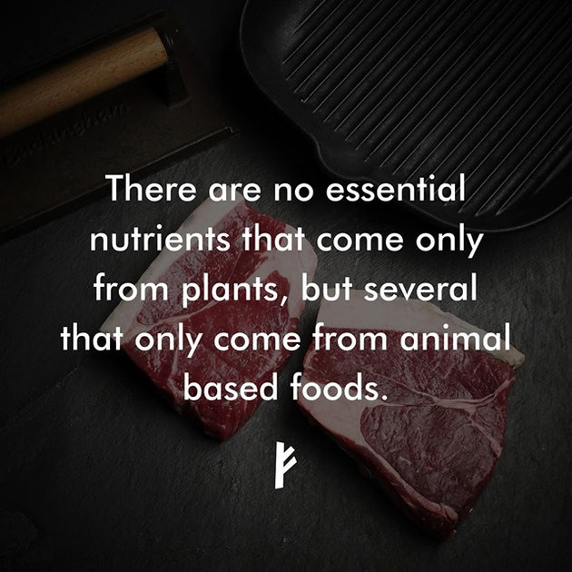 Plant vs Animal Nutrition: Protein | The Ethical Butcher