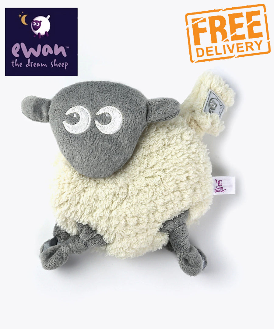 the dream sheep ewan