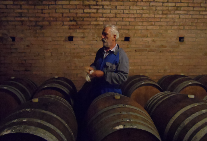 Vintage 2015 Progress Report – Langhe, Piemonte