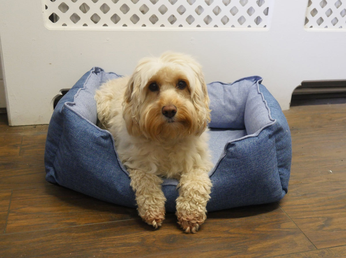 sushi dog bed