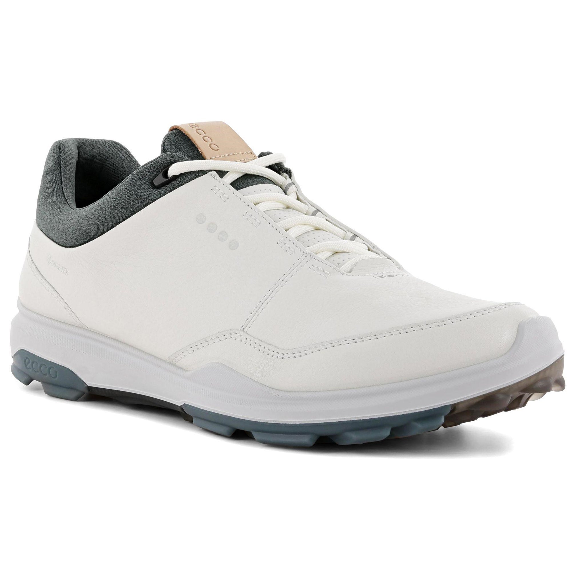 Ecco Biom Hybrid 3 Gore-Tex Golf Shoe 