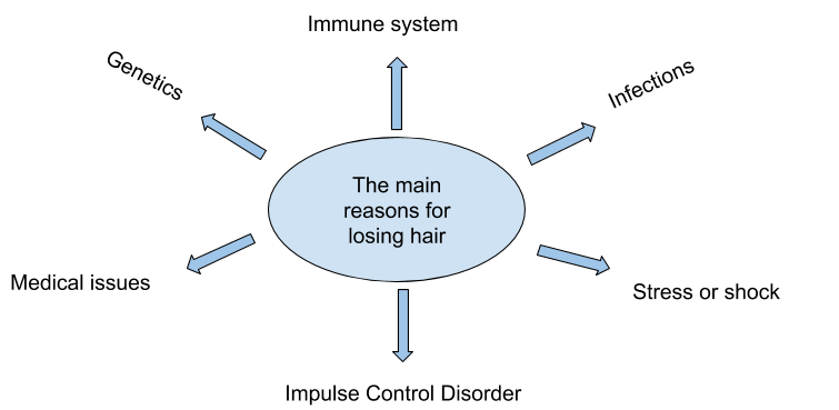 Chart showing the main reasons for hair loss