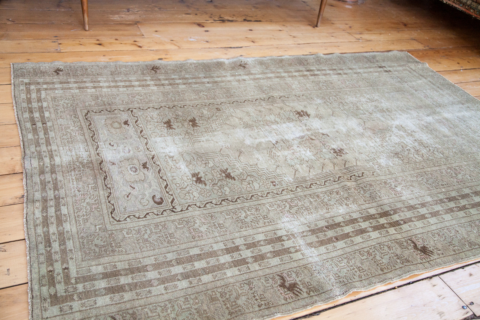 4.5x6.5 Distressed Kula Rug