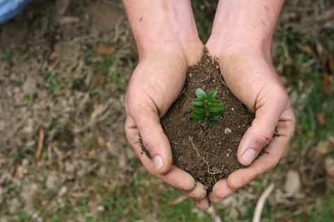 Terre mains plante agriculture bio biologique