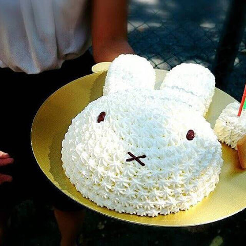 miffy birthday cake