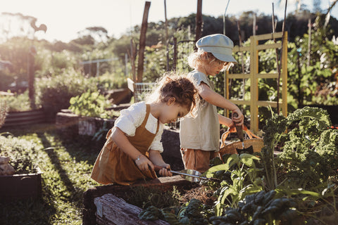 Seeds for Tomorrow - Spring is in the Air