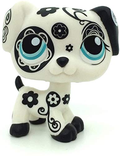 lps black and white dog