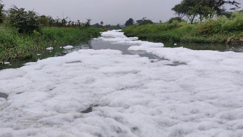 Soap bubble in river