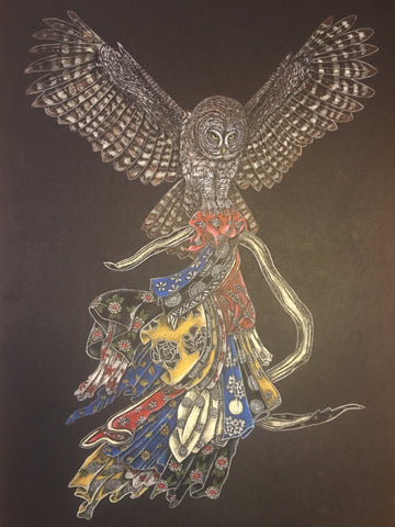 danny-shimoda-owl-illustration