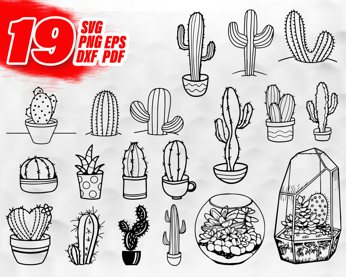 Cactus SVG file, Succulent svg file, Cactus clip art, Flowers, Succule