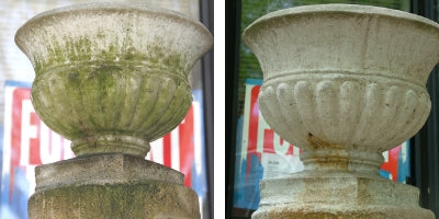 Before and After Photos of a treated garden statue