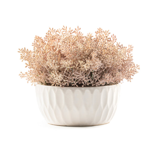 Pell Textured Pink Seed Arrangment