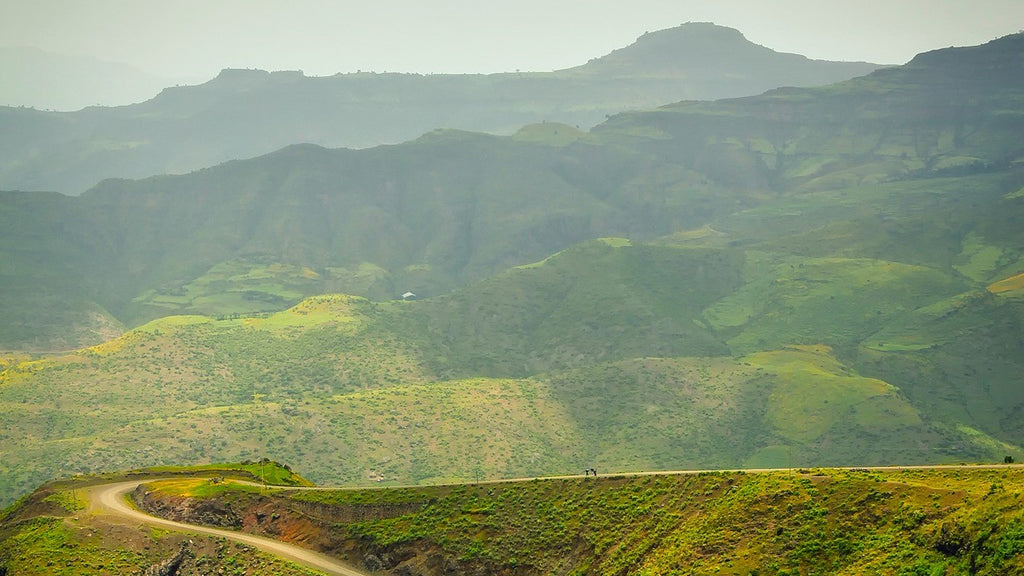 Kaffeeanbauregion Sidamo in Äthiopien