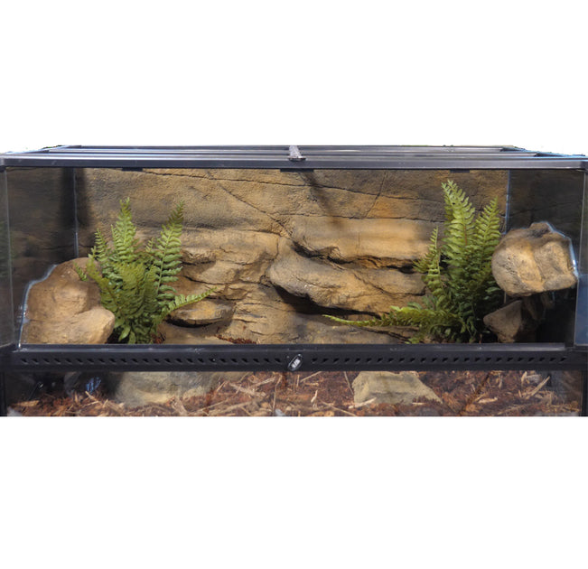 40 gallon snake enclosure