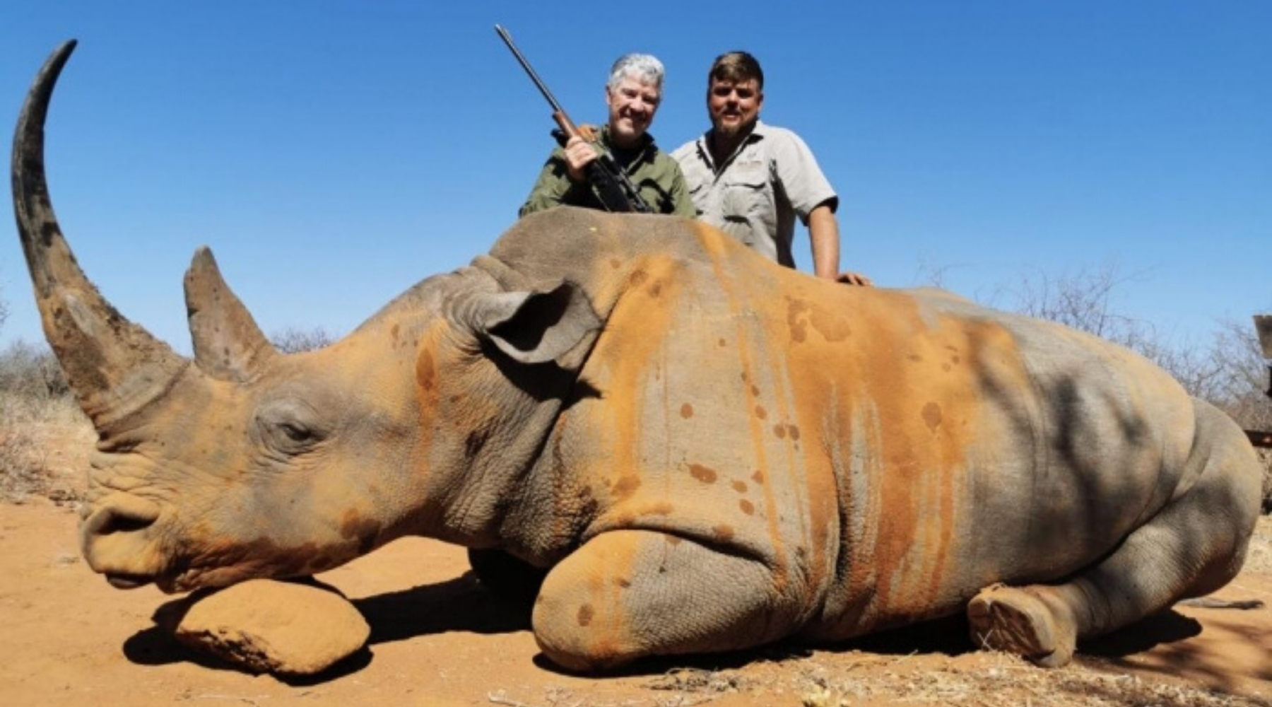 Des chasseurs posent avec un rhinocéros mort.