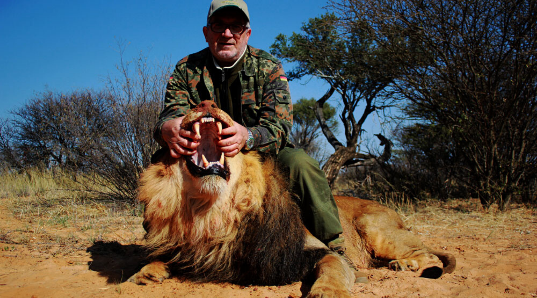 Un chasseur et son lion victime en Afrique du Sud.