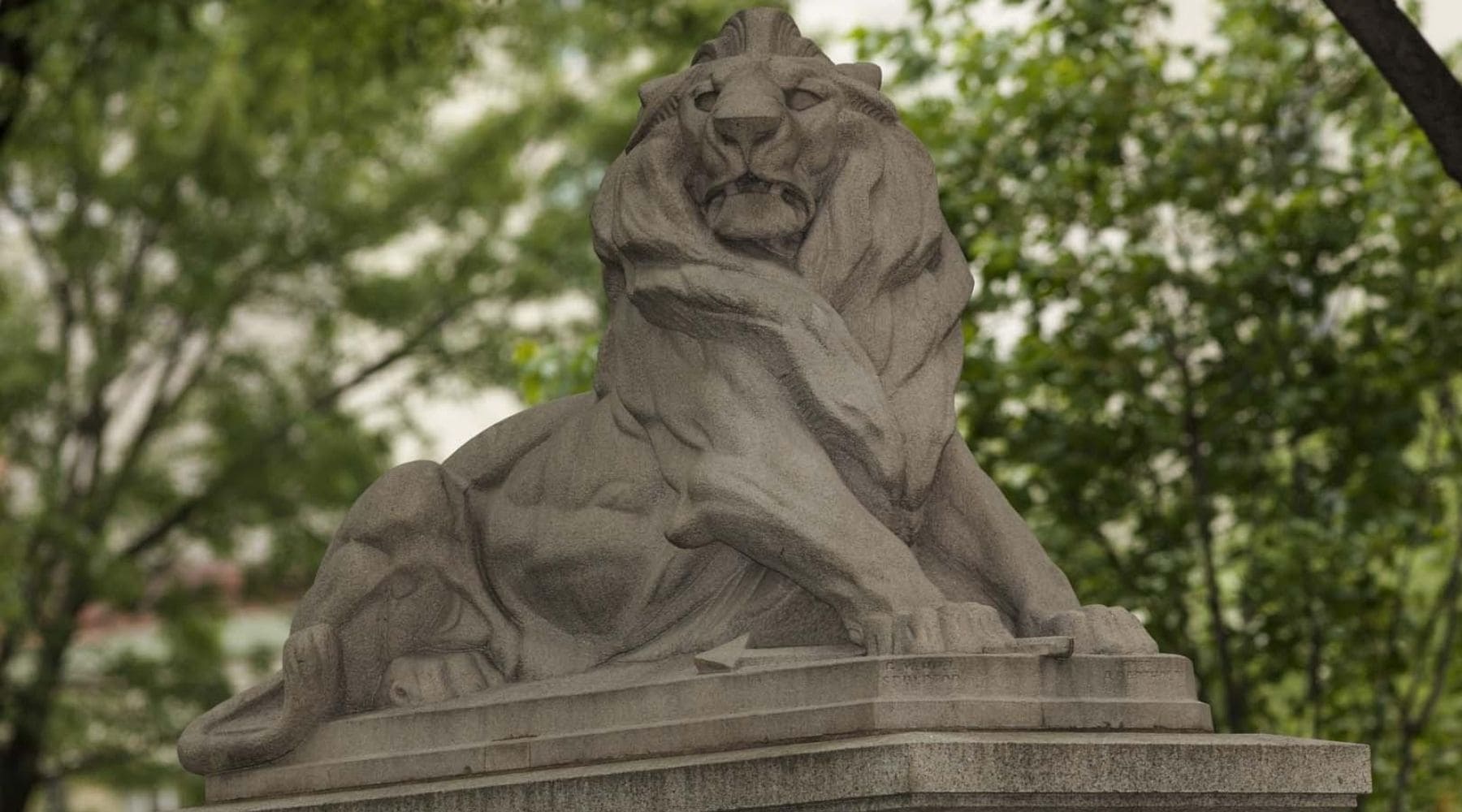 Lion de Belfort Montréal.