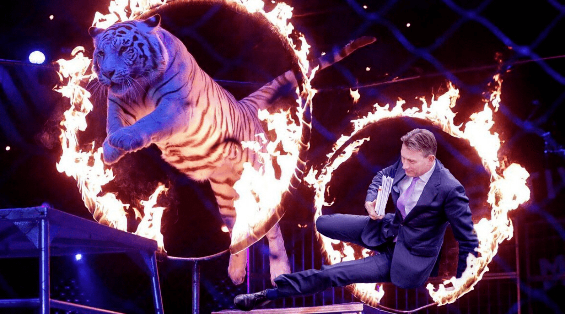 Tigre sautant à travers un cerceau de feu.