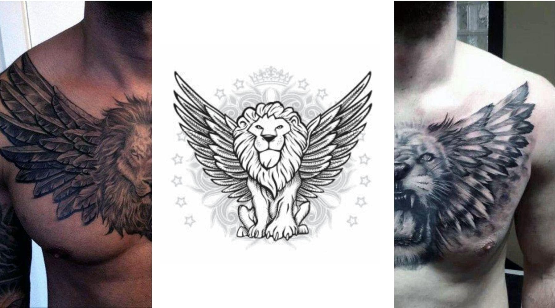 Tatouage lion ailé.