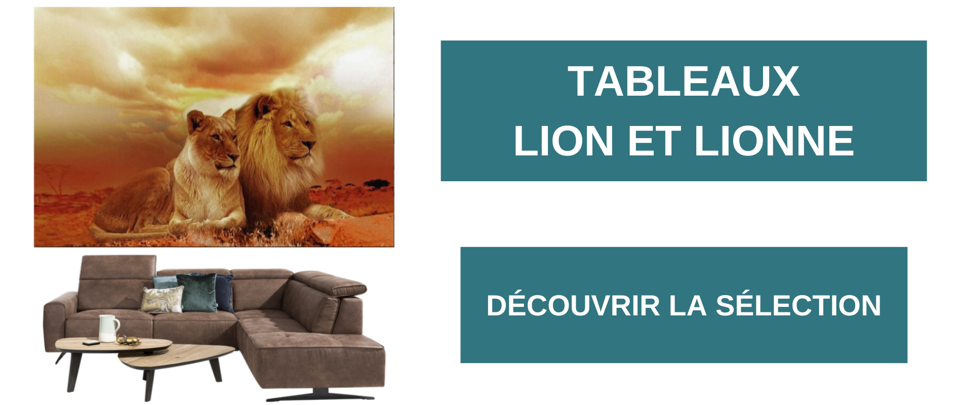 Tableaux lion et lionne.