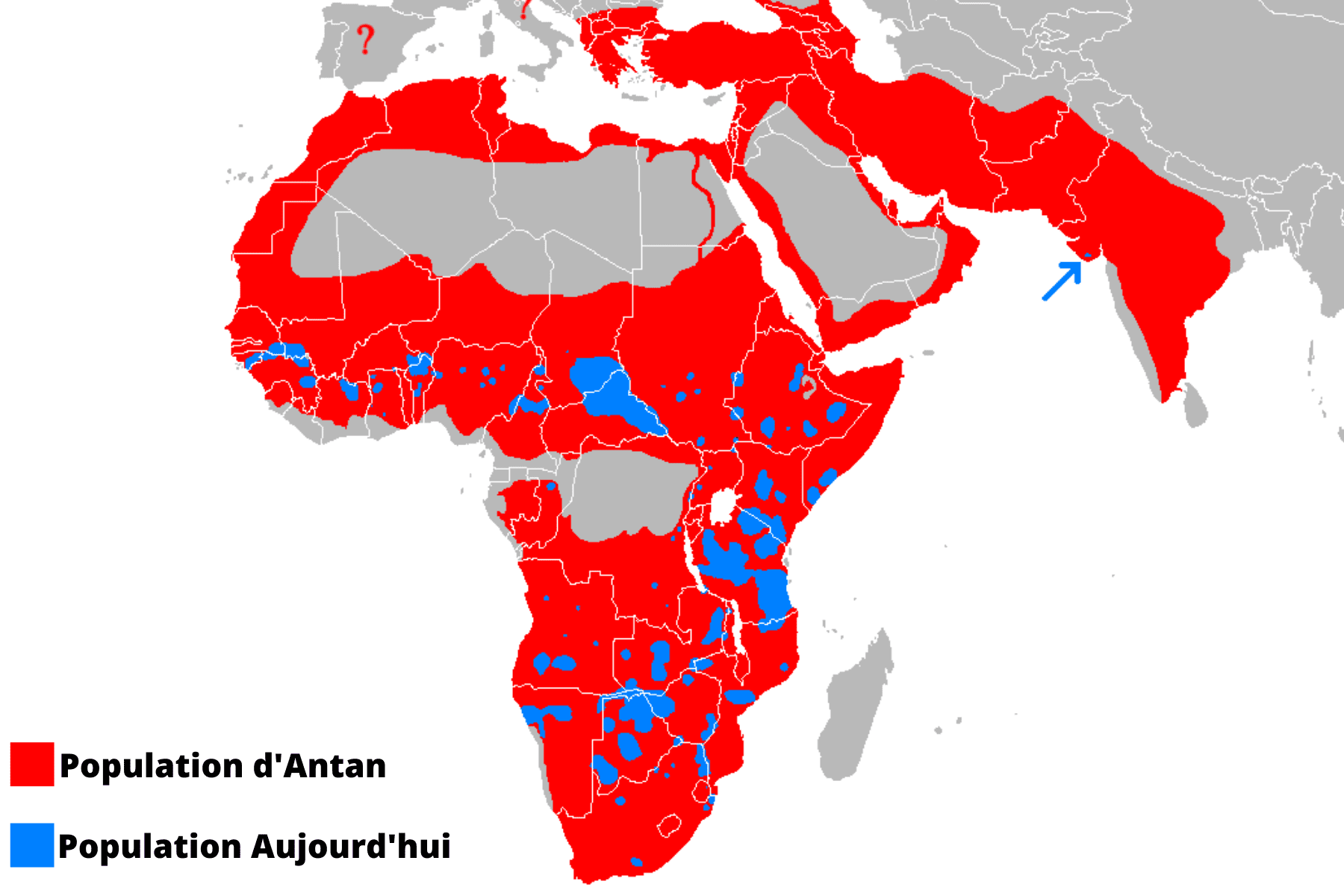 Carte population lion.