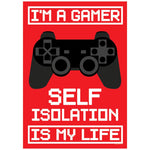 I'm A Gamer Self Isolation Is My Life Poster