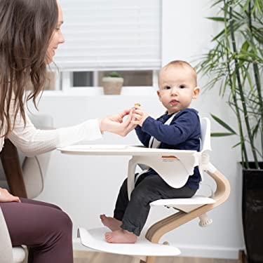 nomi highchair harness