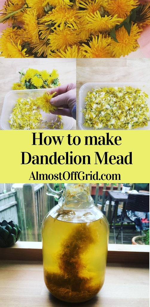 Dandelion Mead Pin