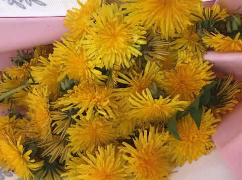Dandelions for Mead