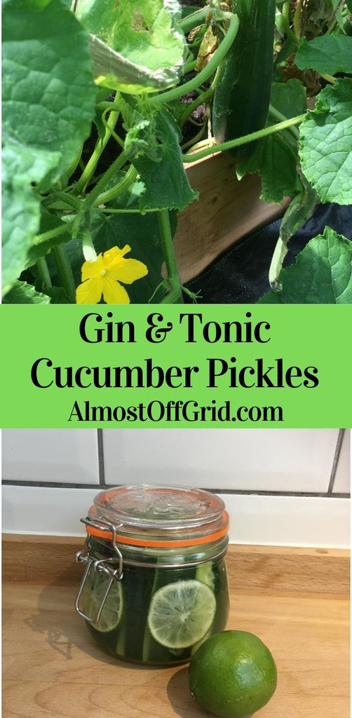 Gin and Tonic Cucumber Pickles