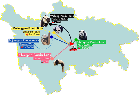 panda bases of Sichuan
