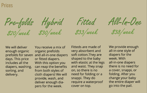 example of cloth diaper service pricing