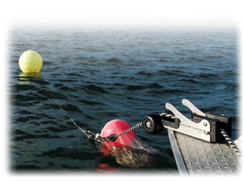 Anchor Nest Cadet with buoy ball