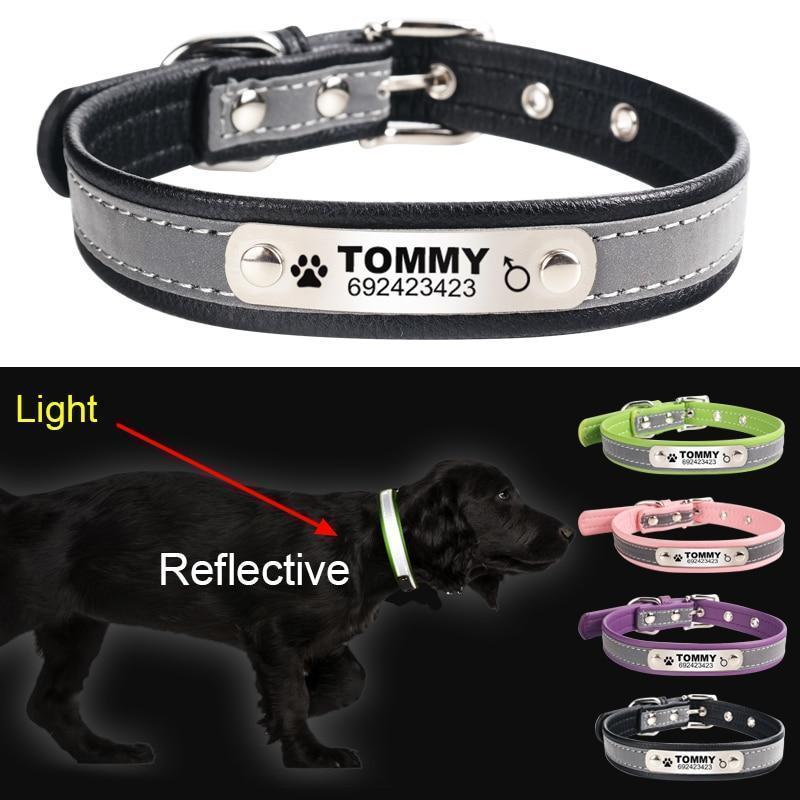 Custom Pet Collars ID Tag For Dogs 