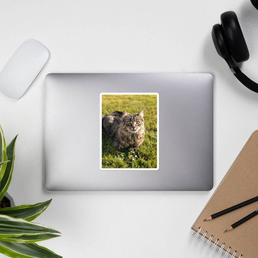 Gestanzte Aufkleber Bild Print Your Pet