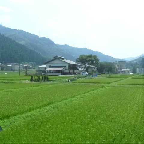 Asada Workshop Yamanakaonsen